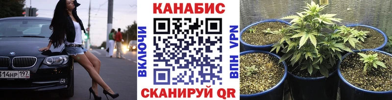 нарко площадка как зайти  Буинск  Канабис тримм 